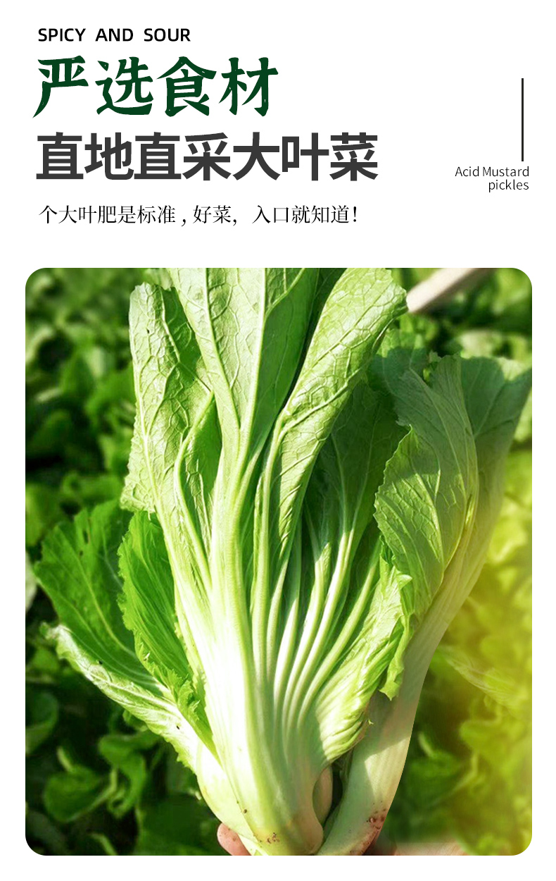 详情790_04.jpg
