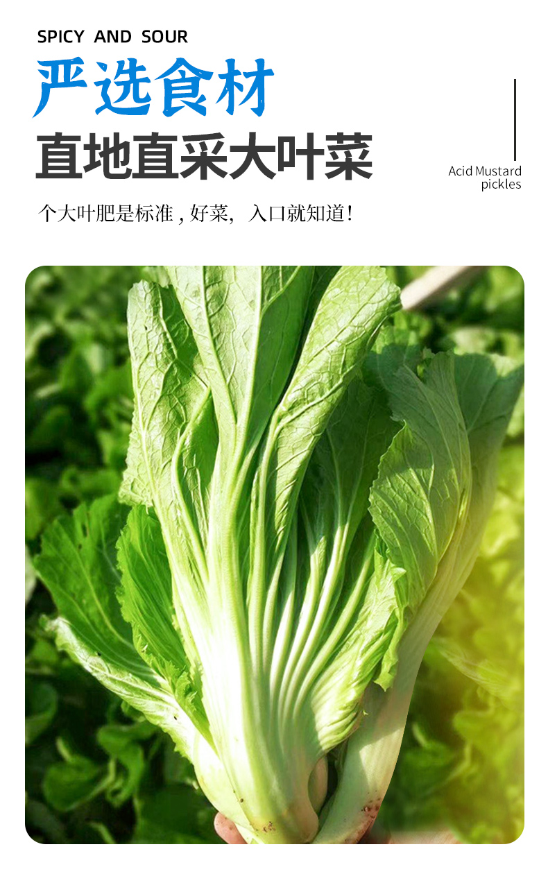 详情_05.jpg